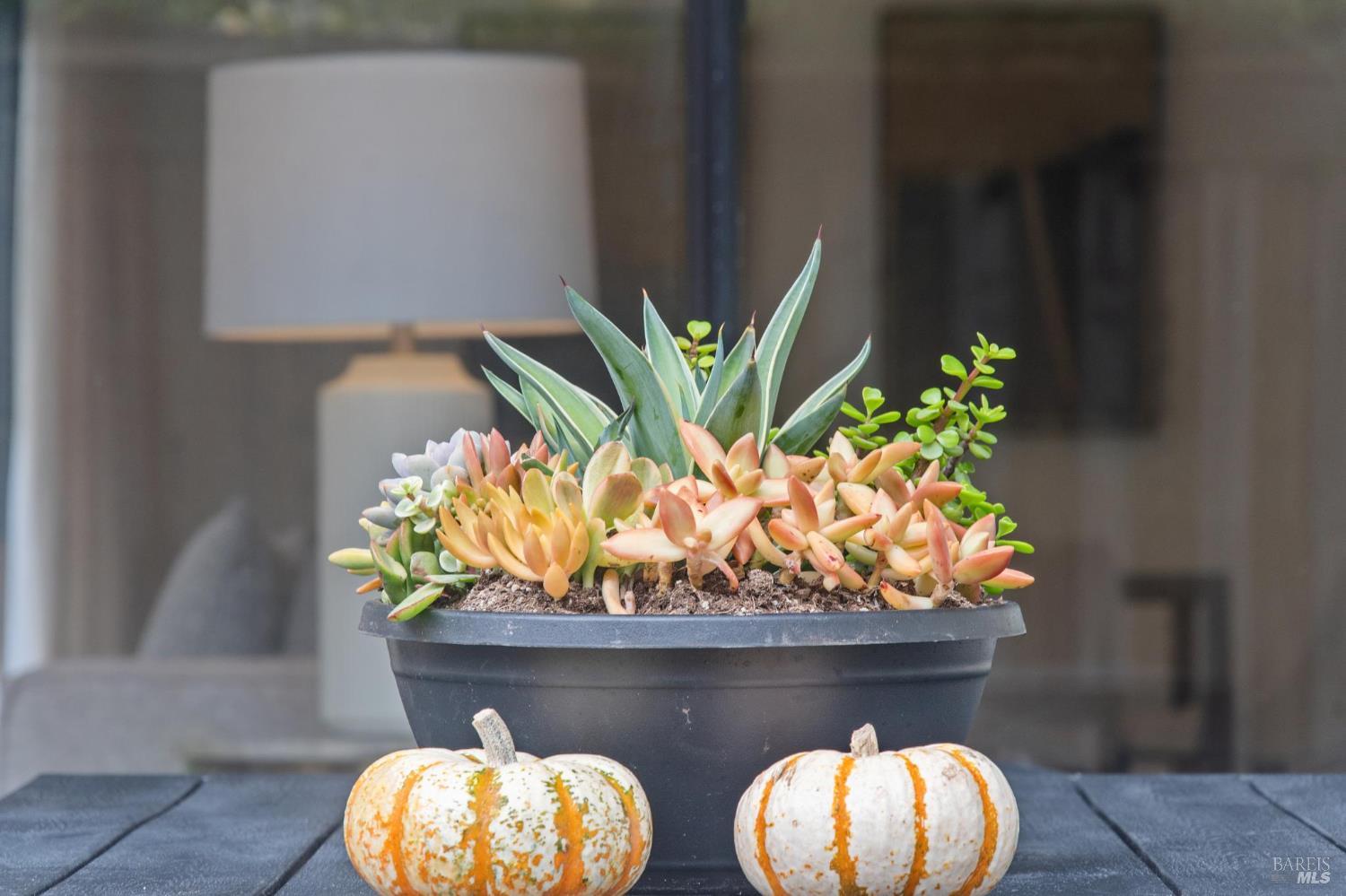 121 Eucalyptus Knoll St