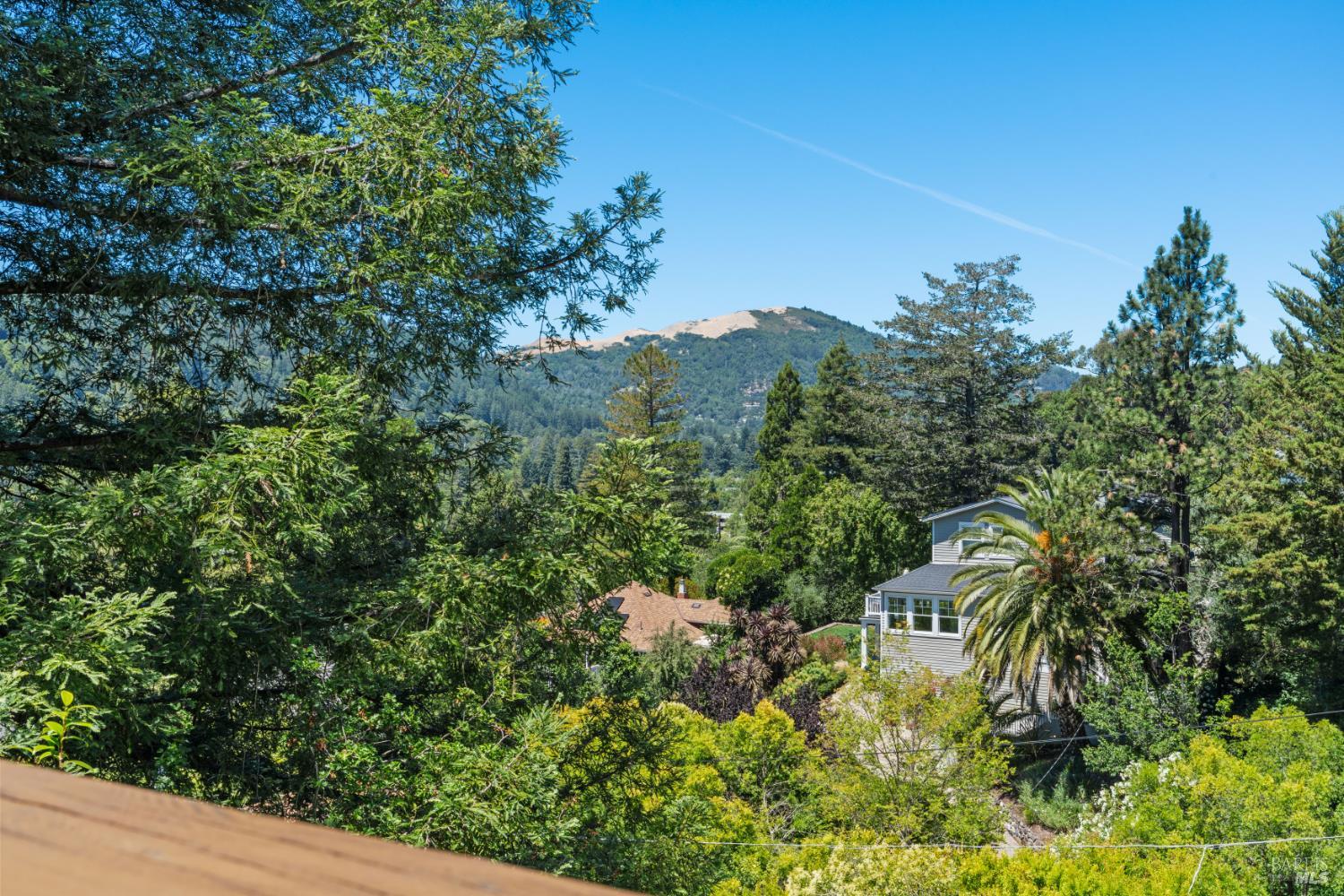 225 Foster Avenue