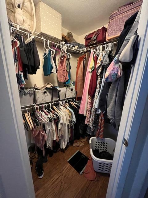 1740 Palm Cove Boulevard 4103