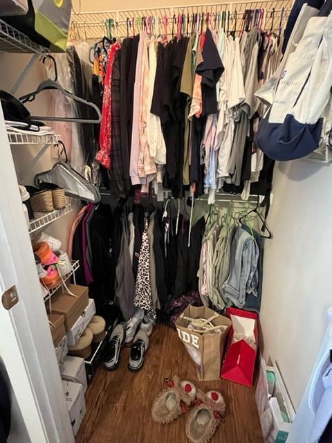 1740 Palm Cove Boulevard 4103