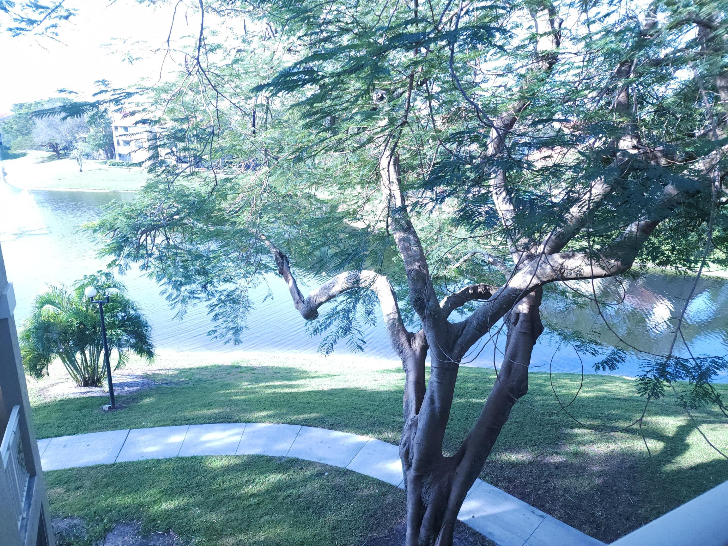 1745 Palm Cove Boulevard 3-305