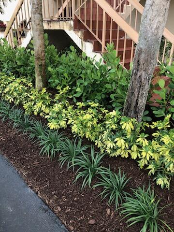 13112 Sentry Palm Court B