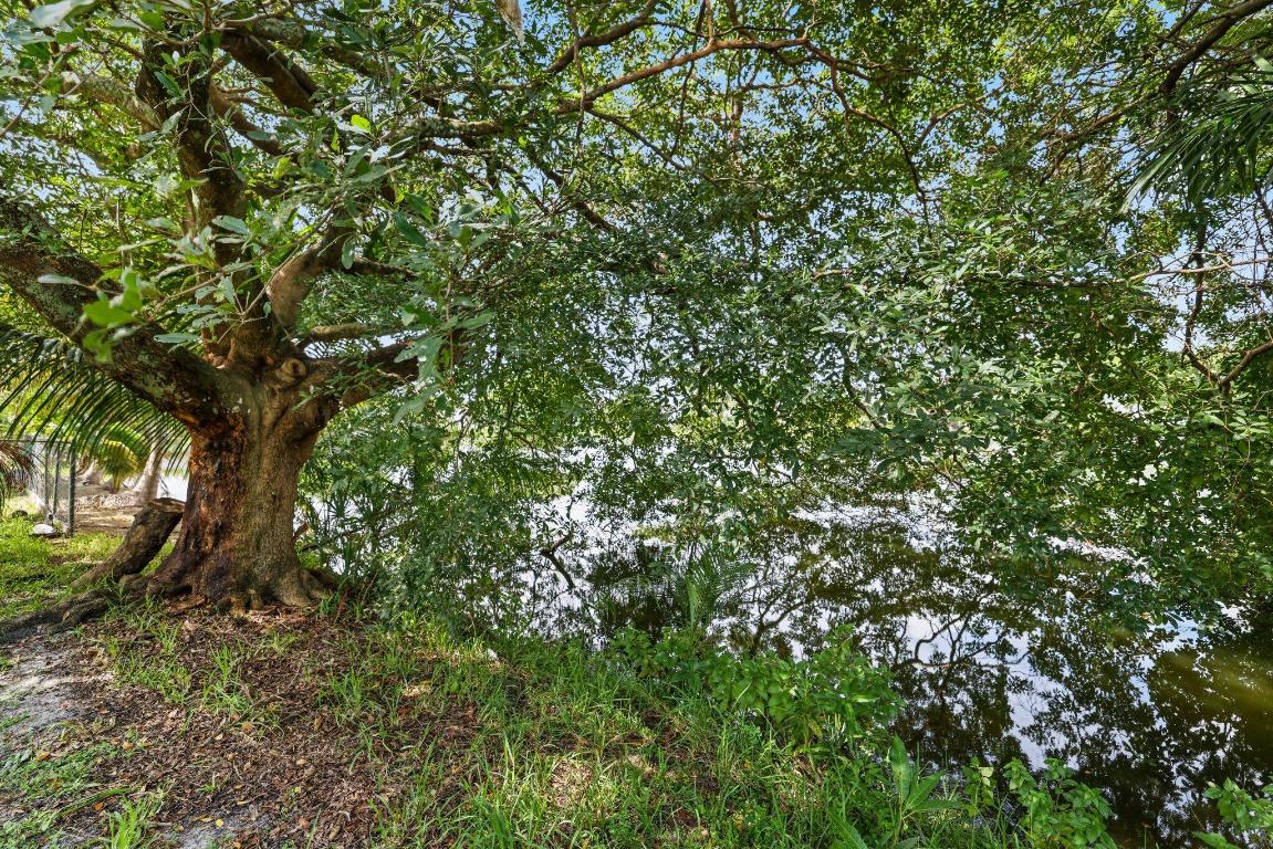 6009 Triphammer Road