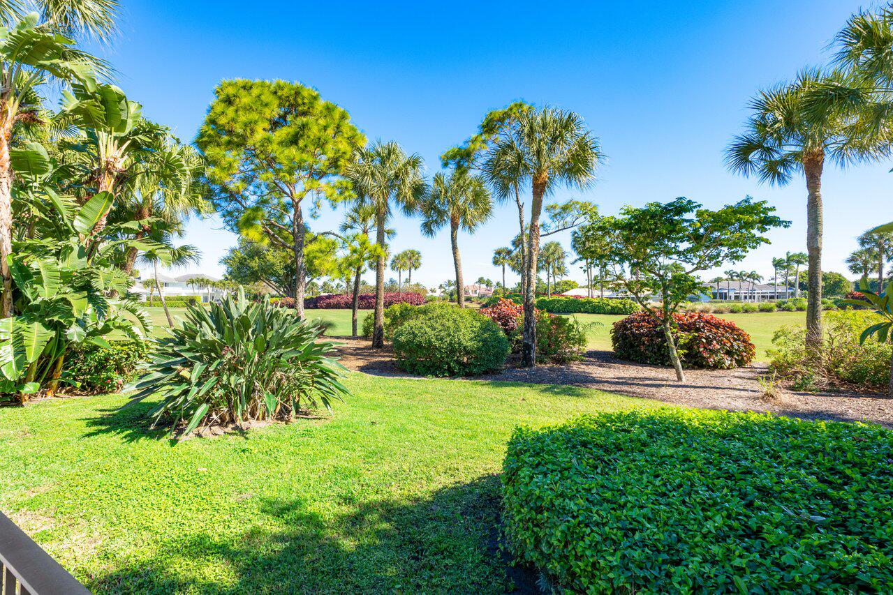 4770 Tree Fern Drive