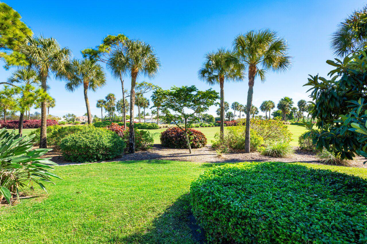 4770 Tree Fern Drive
