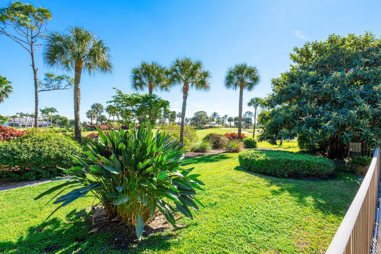 4770 Tree Fern Drive