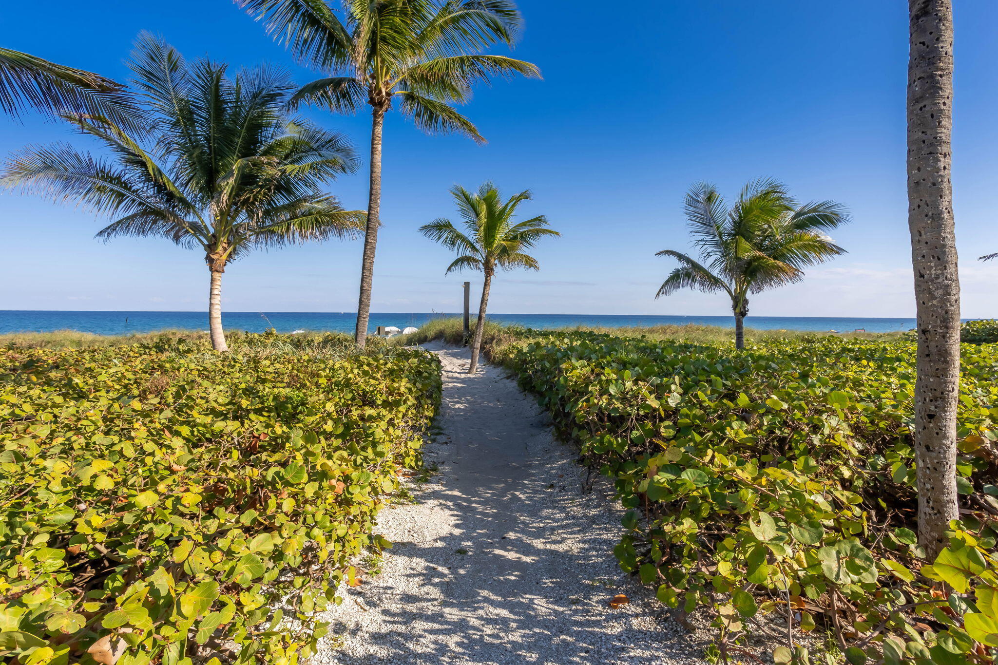 1901 S Ocean Boulevard 9