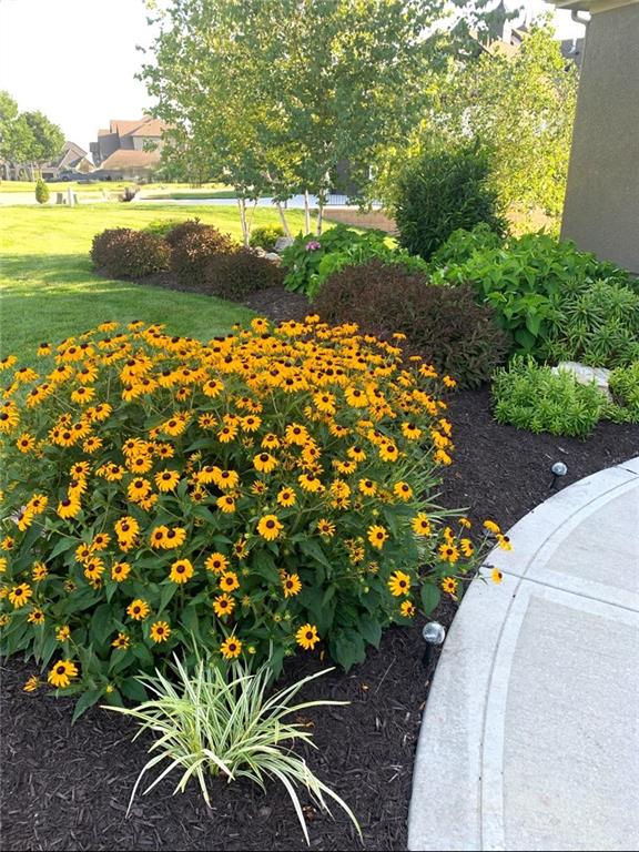 15516 Stearns Street