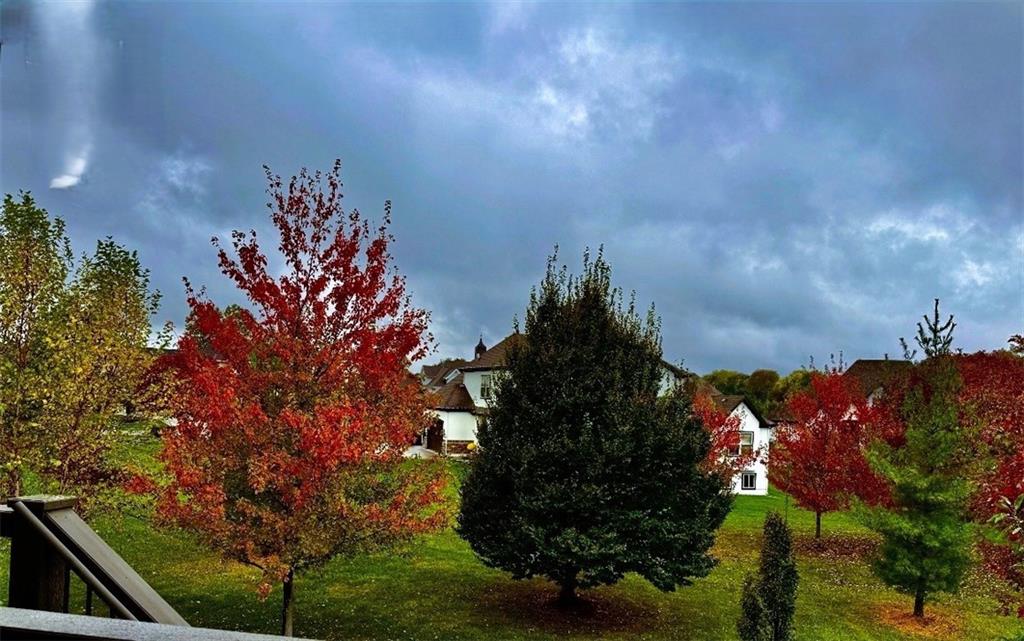 15516 Stearns Street