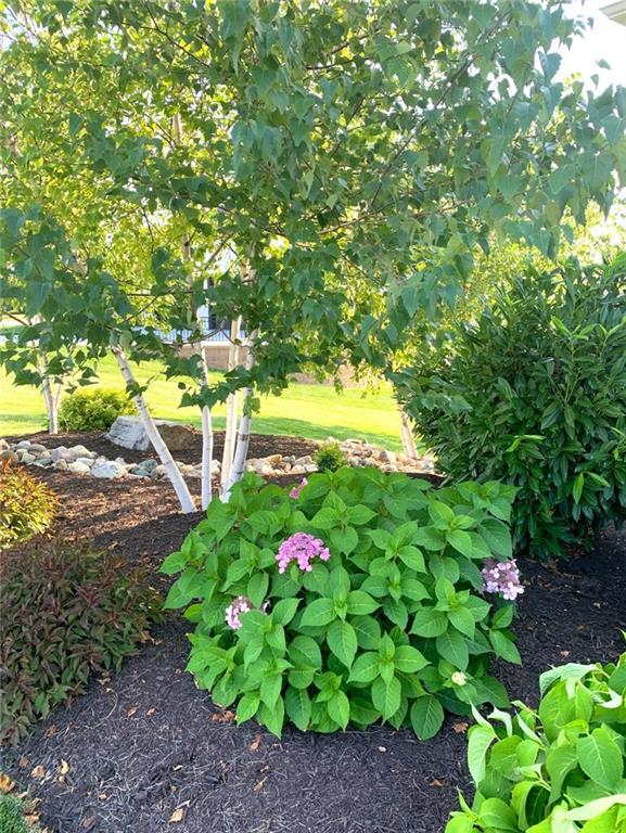 15516 Stearns Street