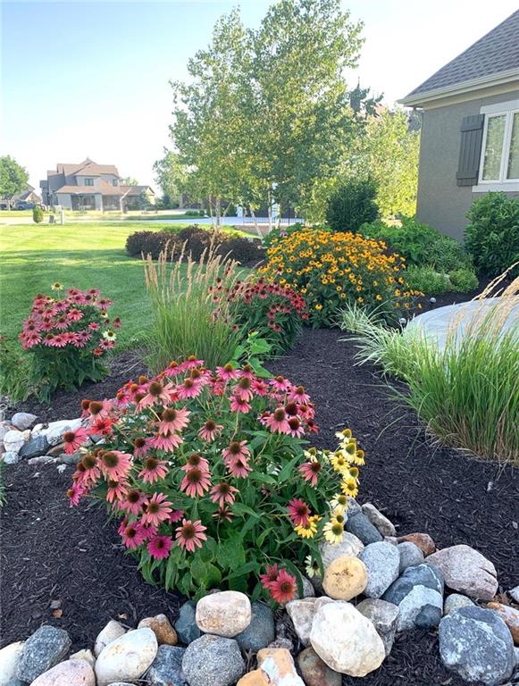 15516 Stearns Street