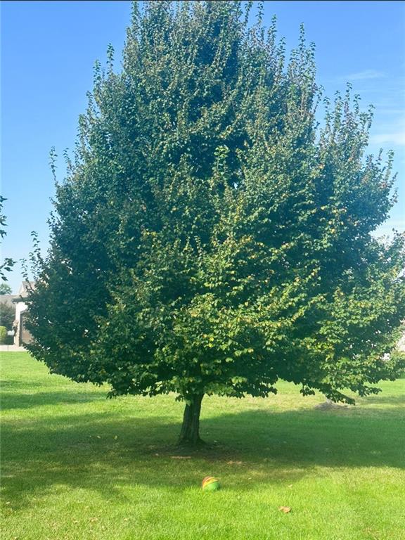 15516 Stearns Street