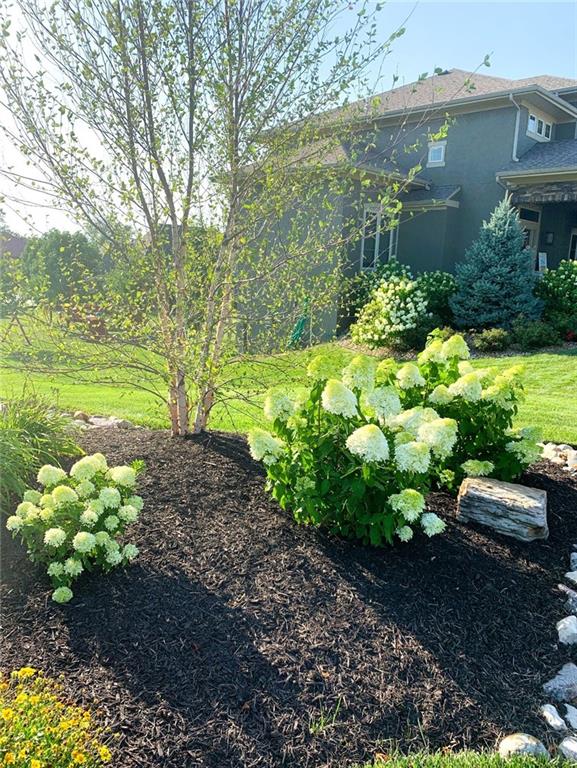 15516 Stearns Street