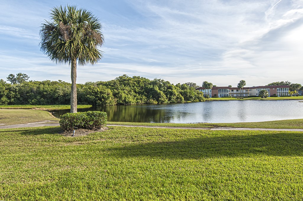 34 Pine Arbor Lane 203