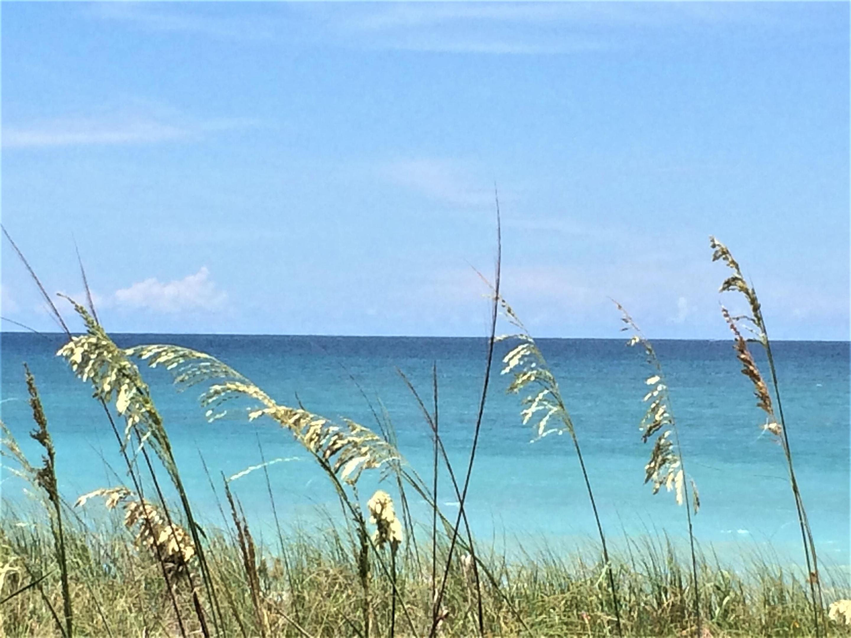 34 Pine Arbor Lane 205