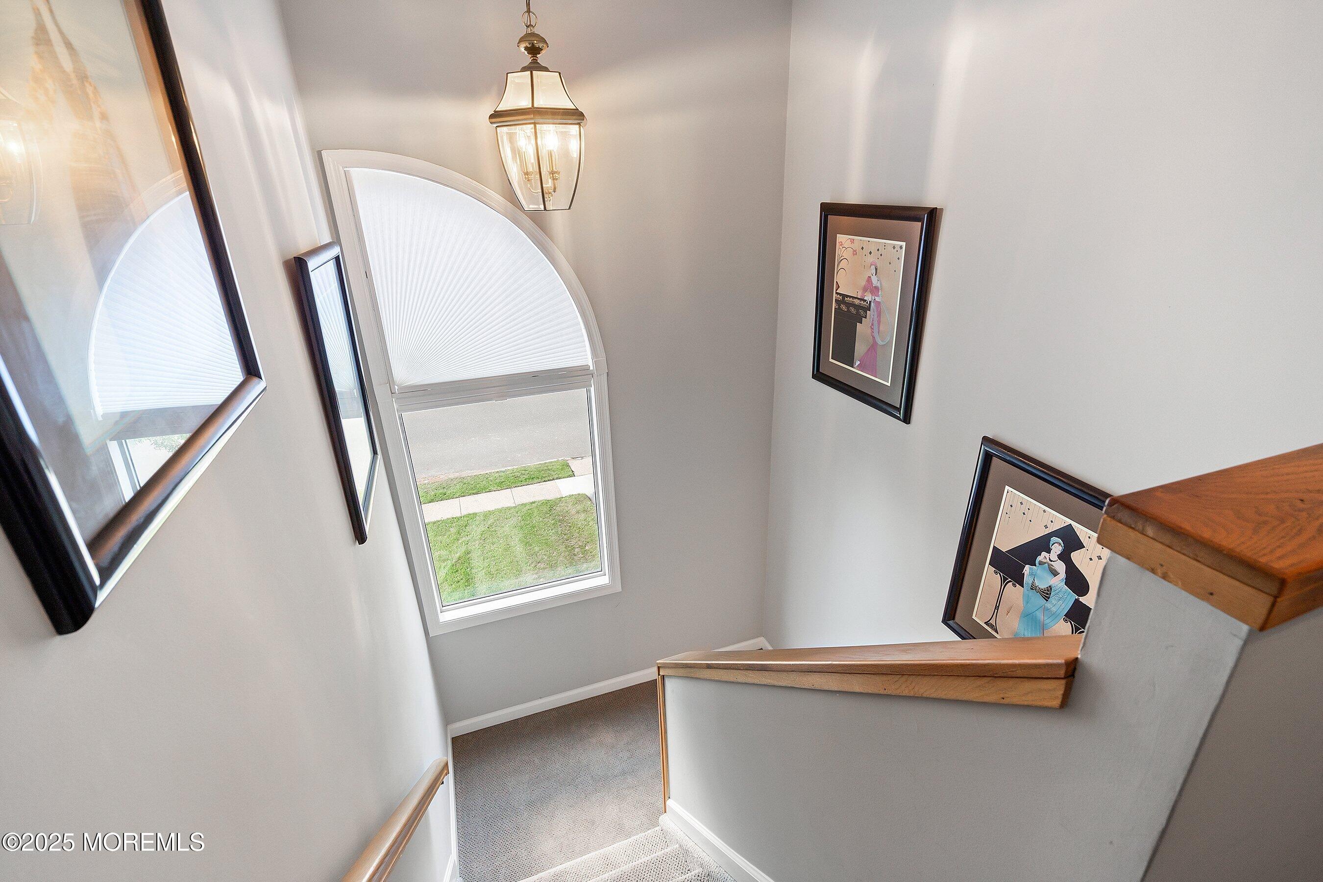 51 Dortmunder Drive