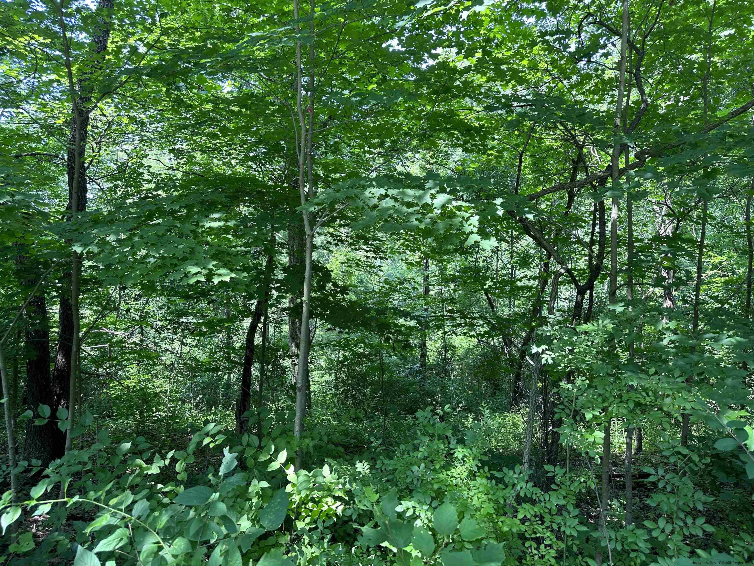 TBD Canoe Hill