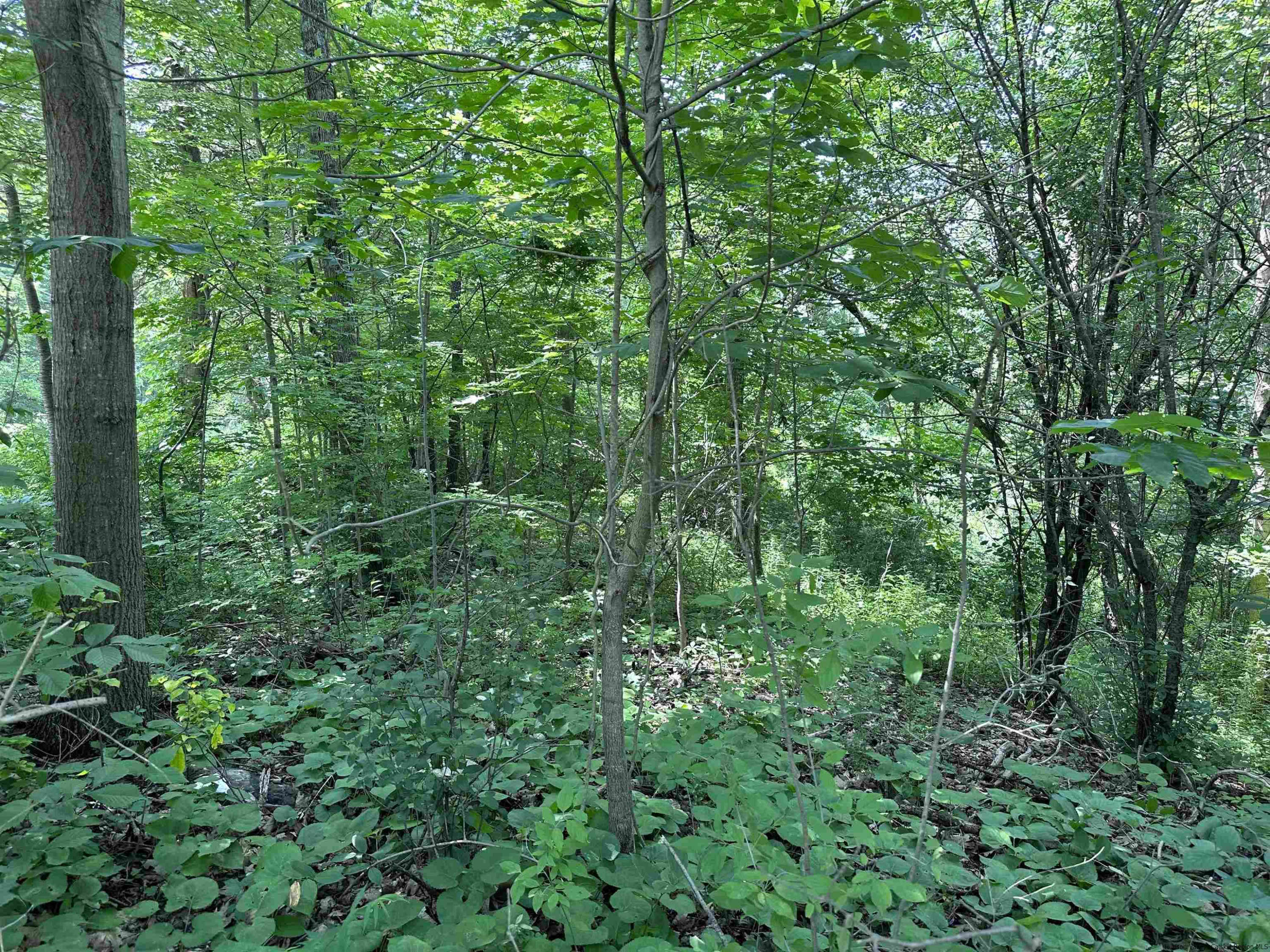 TBD Canoe Hill