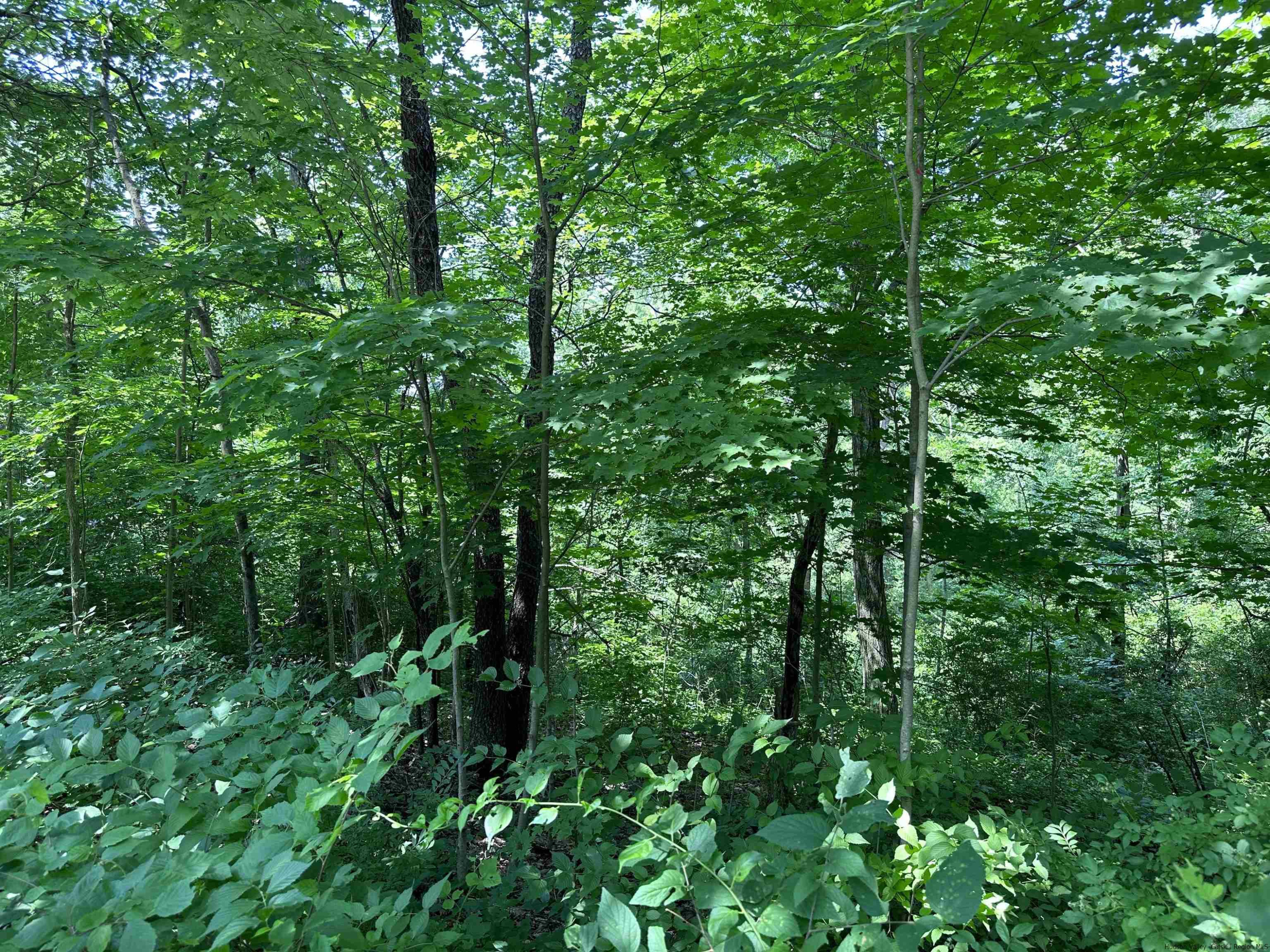 TBD Canoe Hill