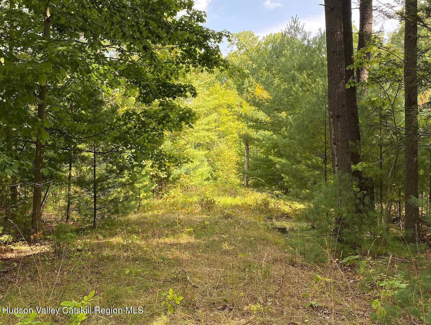 41 St Josen Road