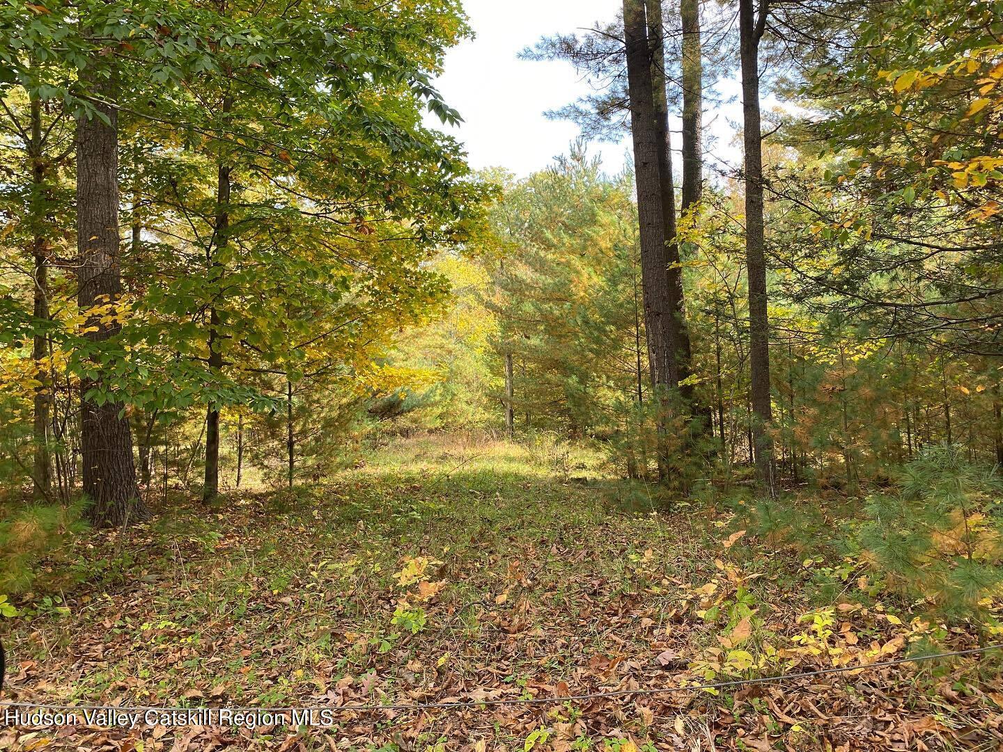 41 St Josen Road