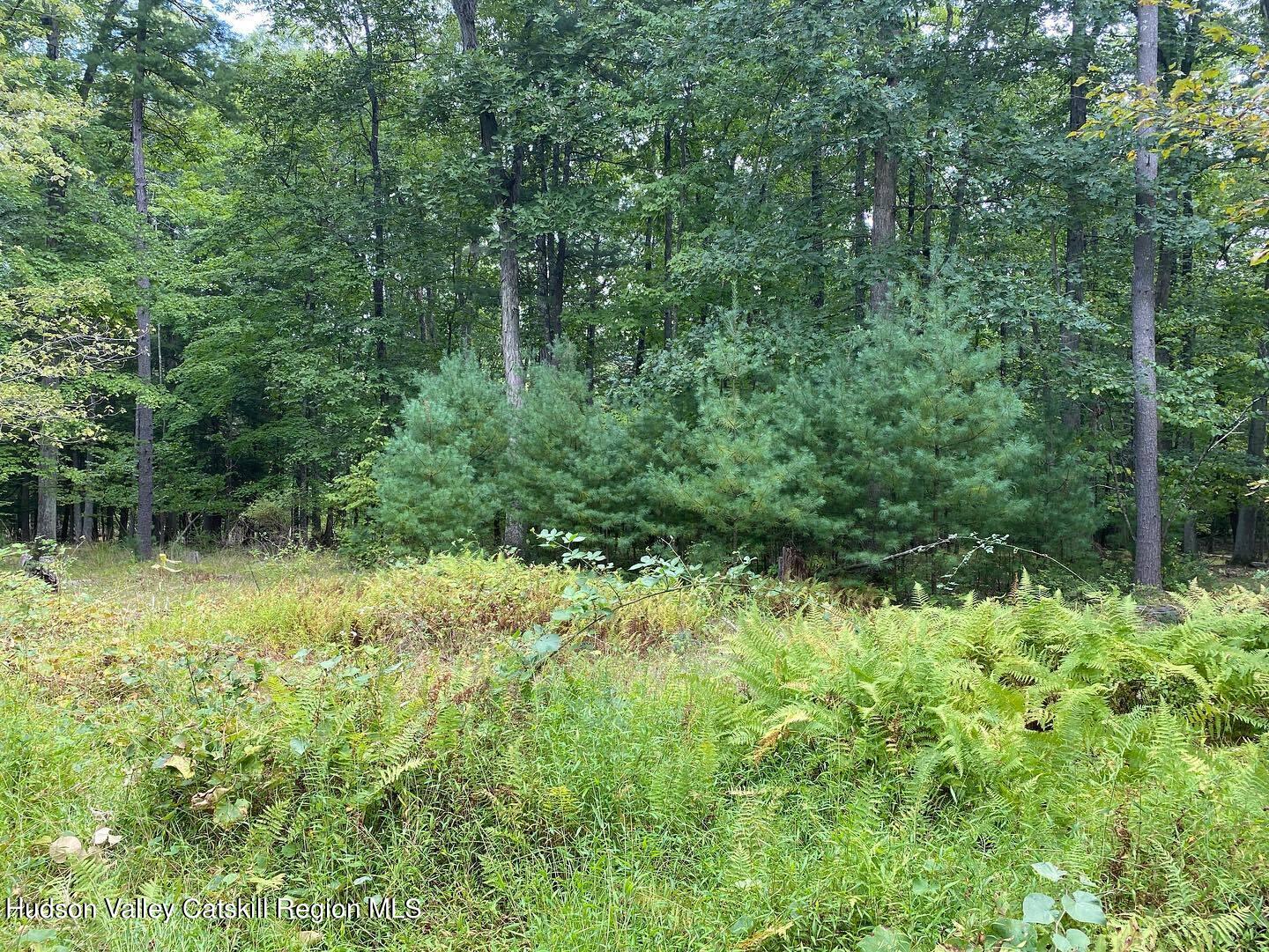 41 St Josen Road