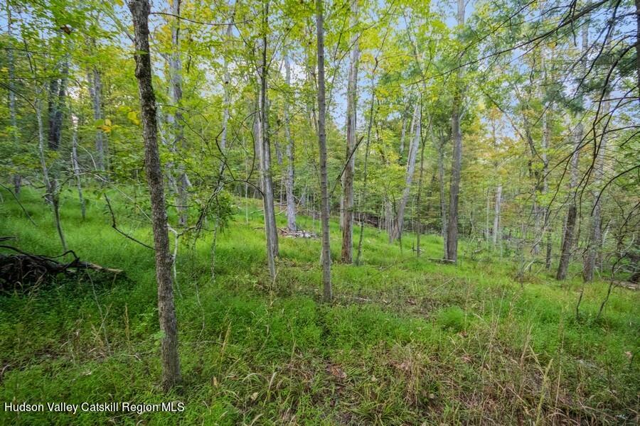 00 Ashokan Road