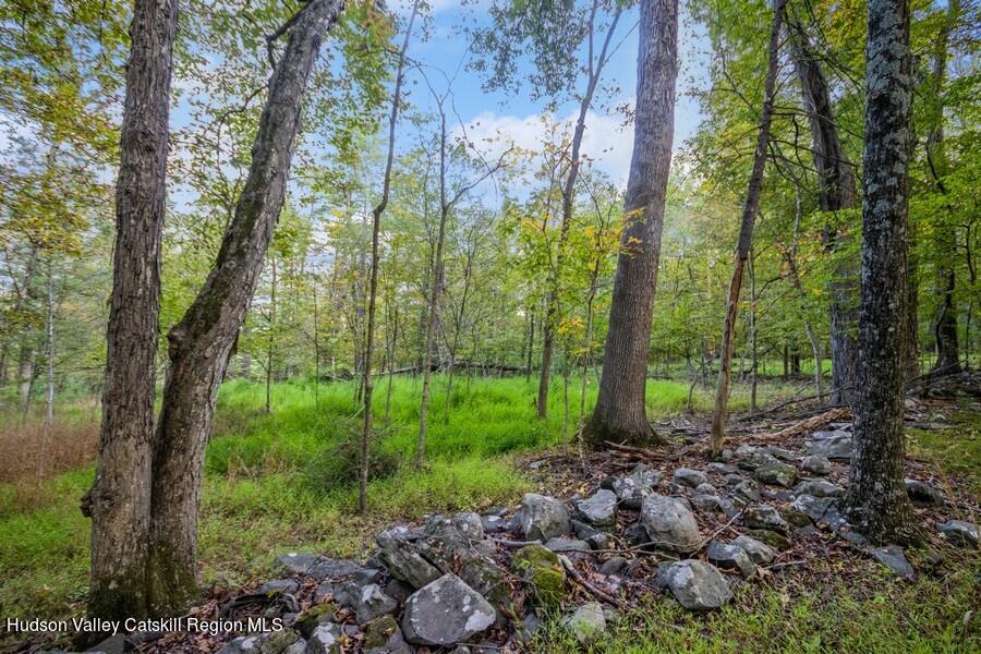 00 Ashokan Road