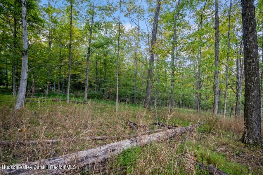 00 Ashokan Road