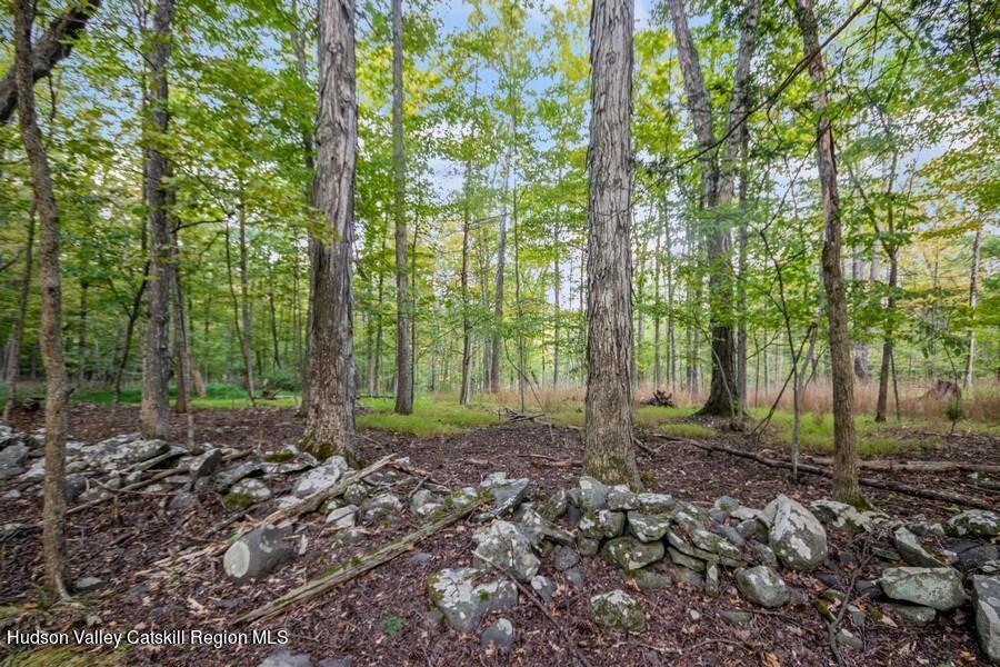 00 Ashokan Road