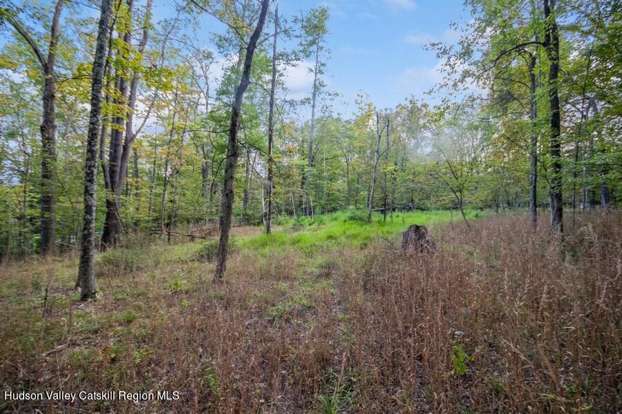 00 Ashokan Road