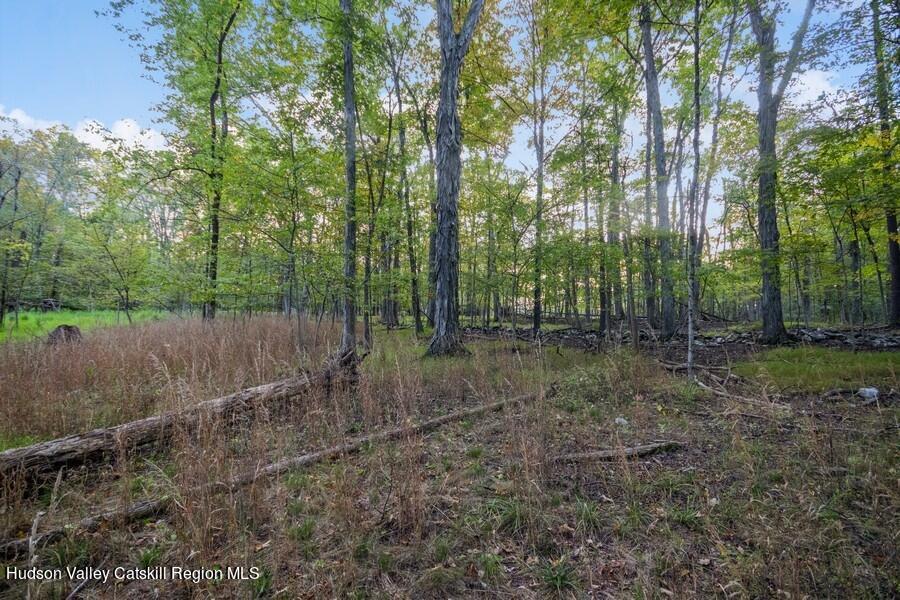 00 Ashokan Road