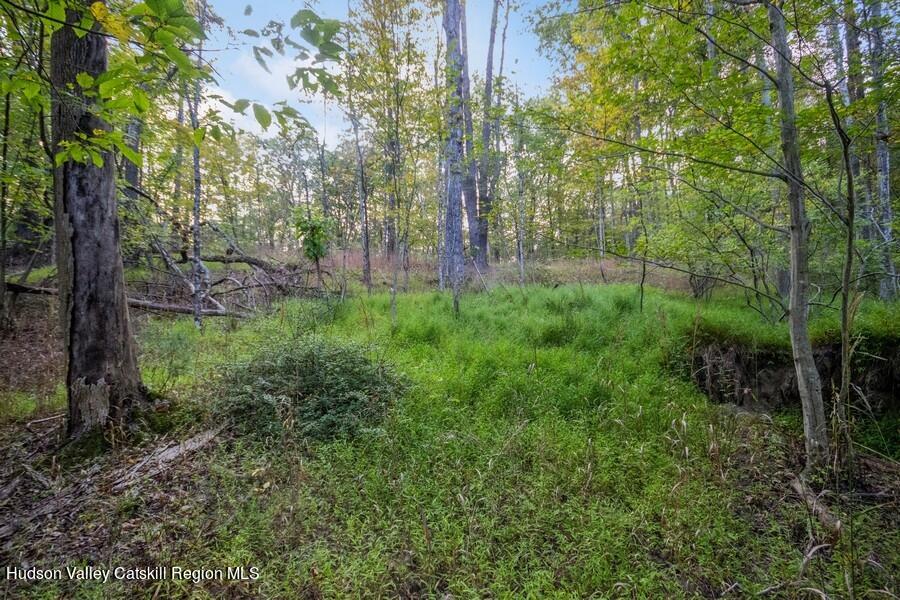 00 Ashokan Road
