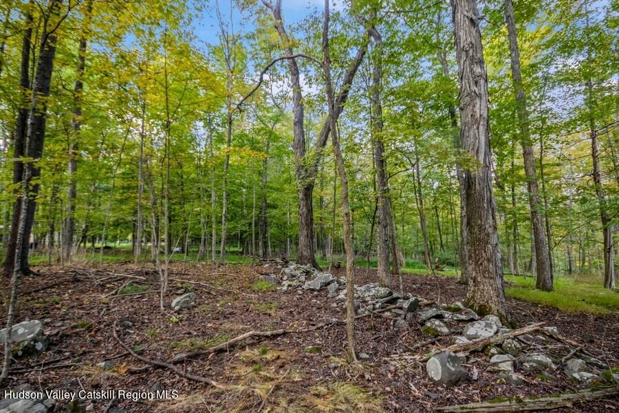 00 Ashokan Road