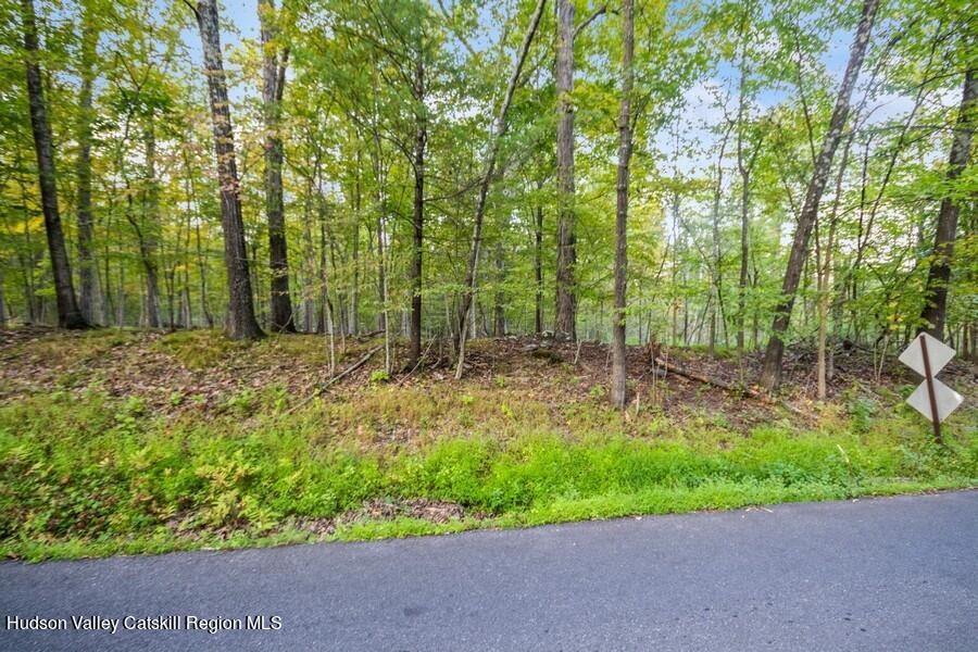 00 Ashokan Road