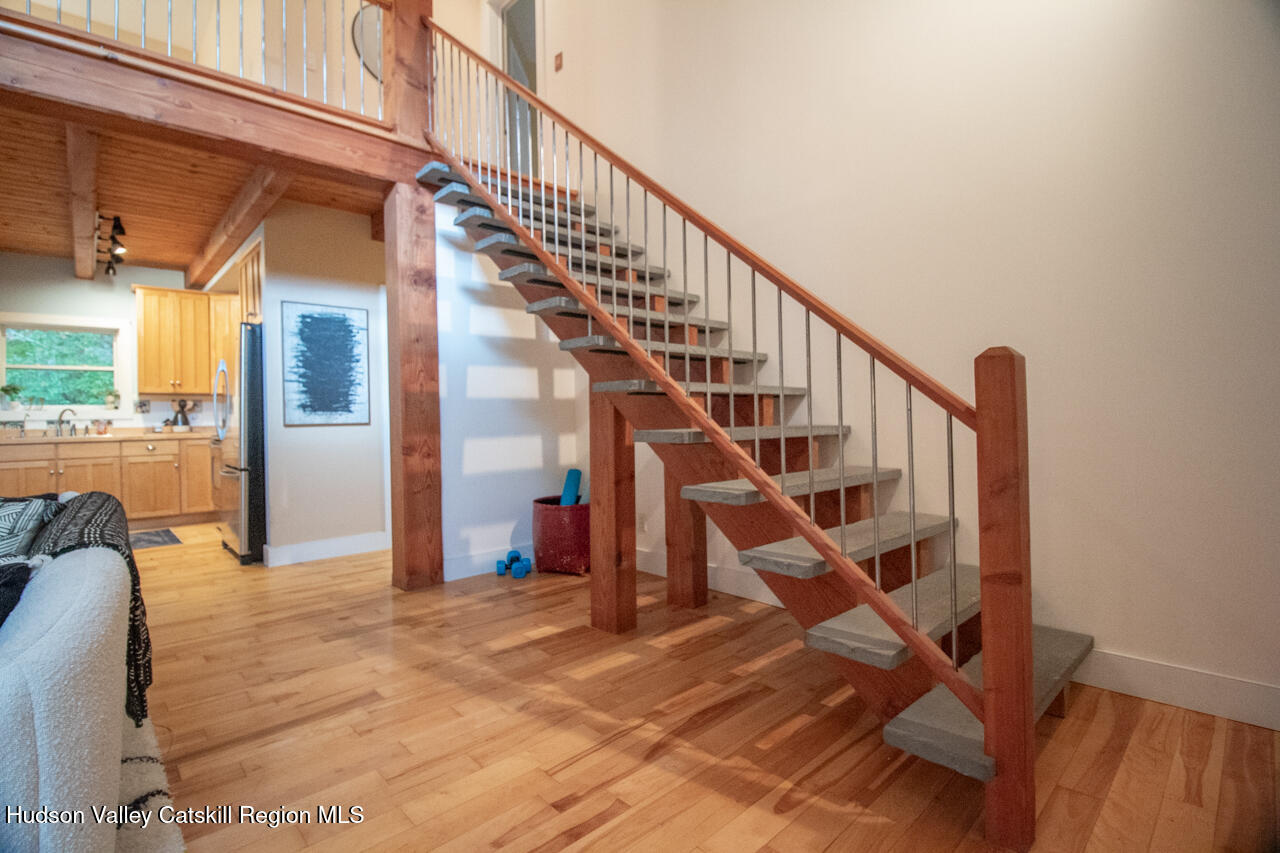 51 Dewitt Road