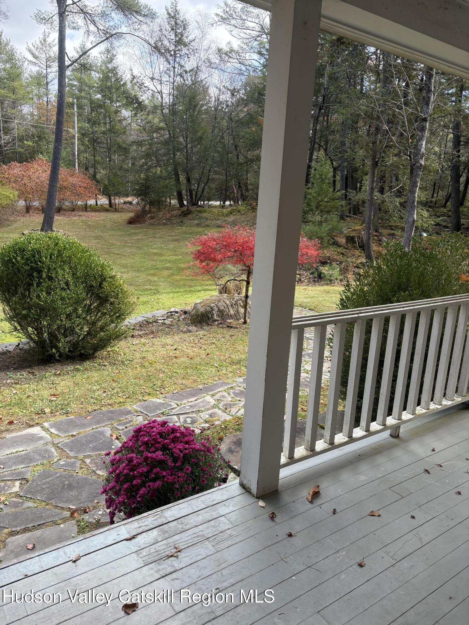 51 Dewitt Road