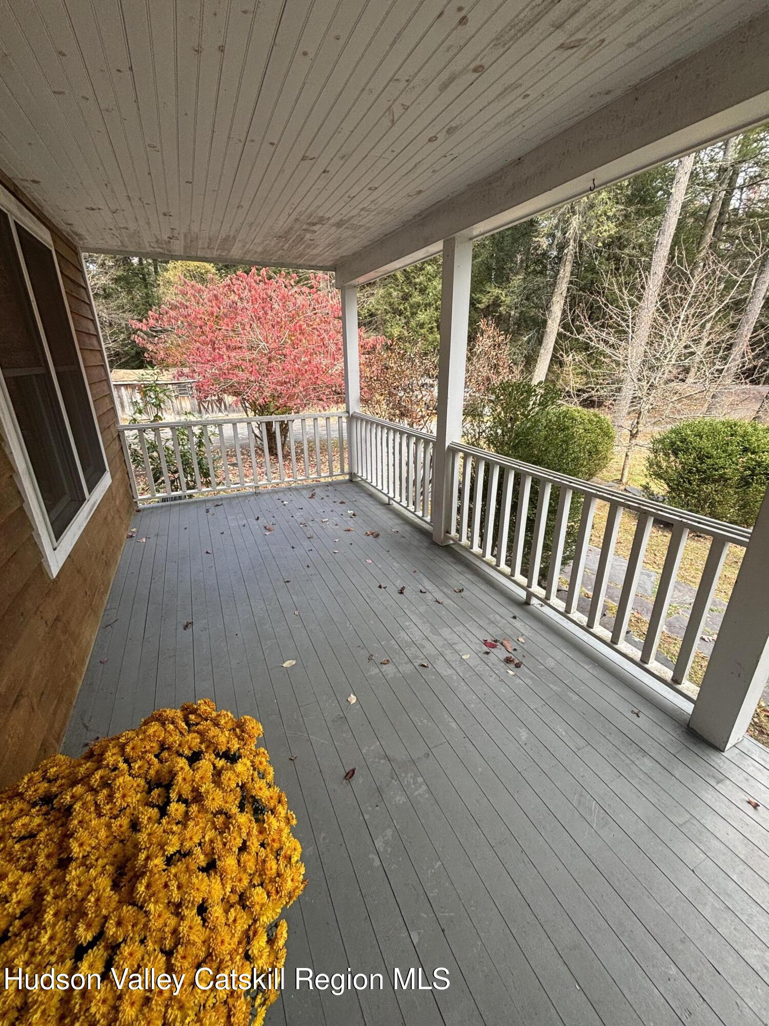51 Dewitt Road