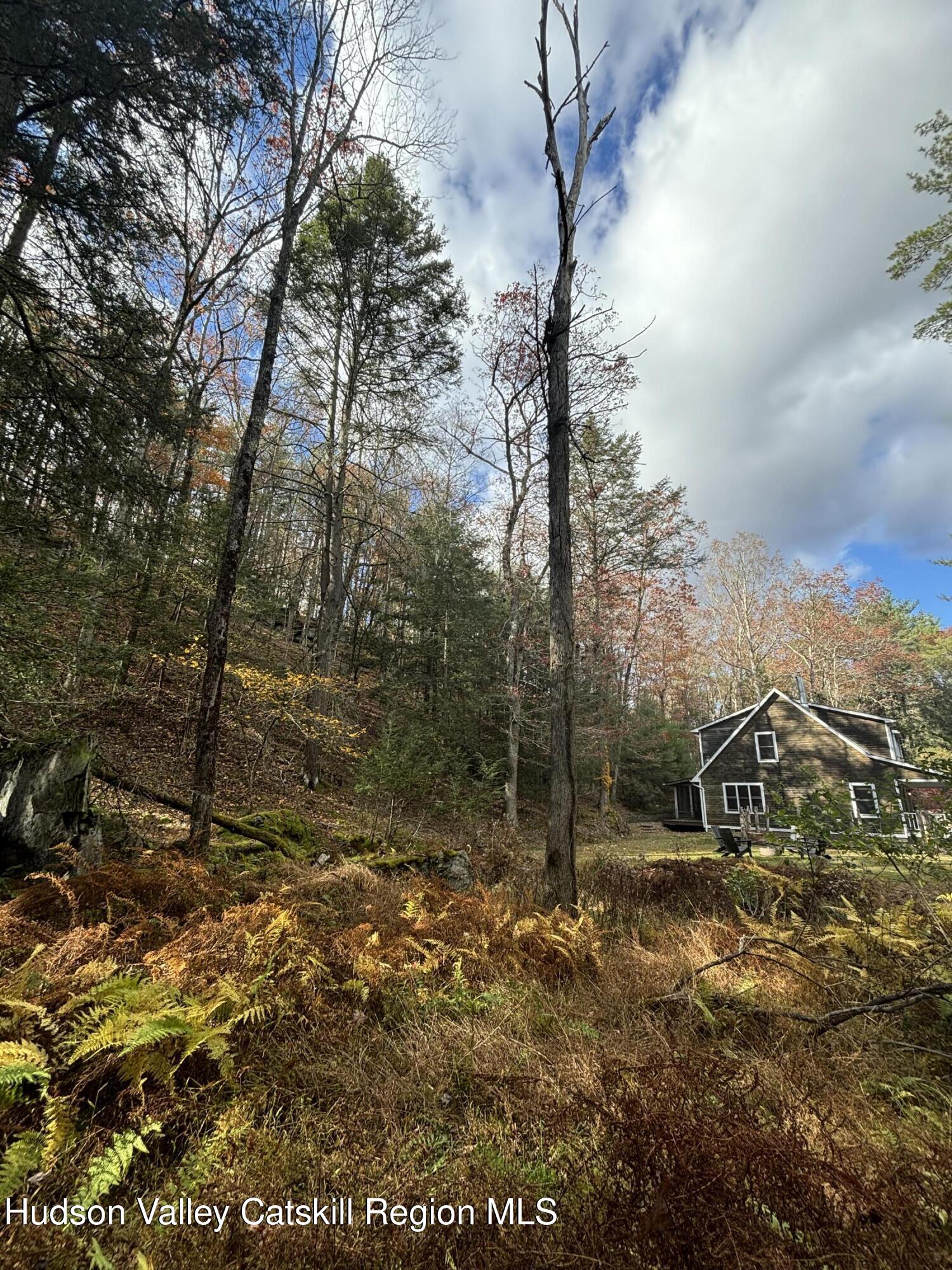 51 Dewitt Road