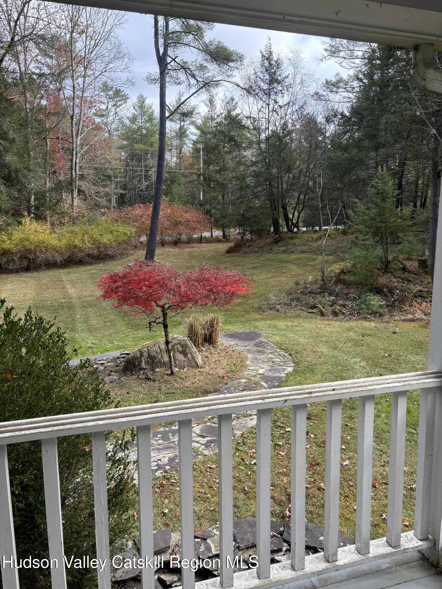 51 Dewitt Road