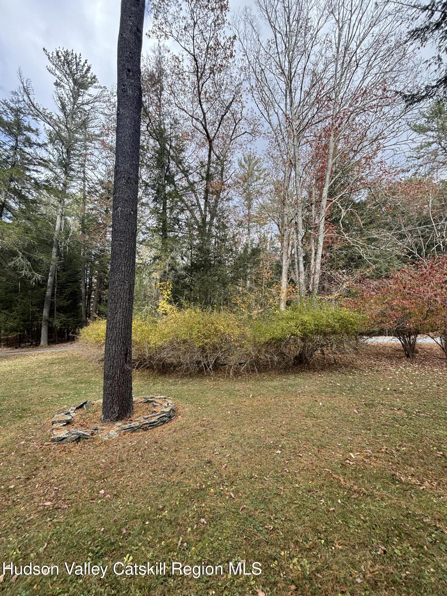 51 Dewitt Road