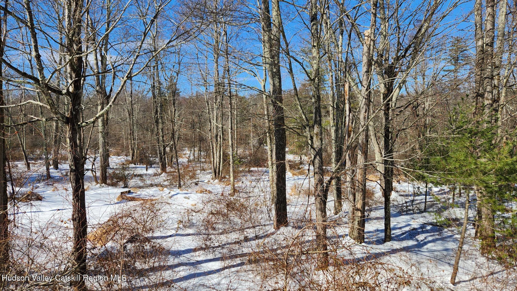 210 Rock Hill Road