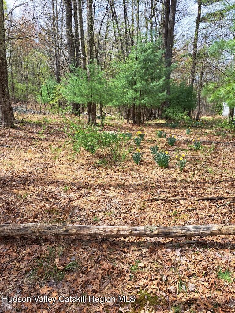 210 Rock Hill Road
