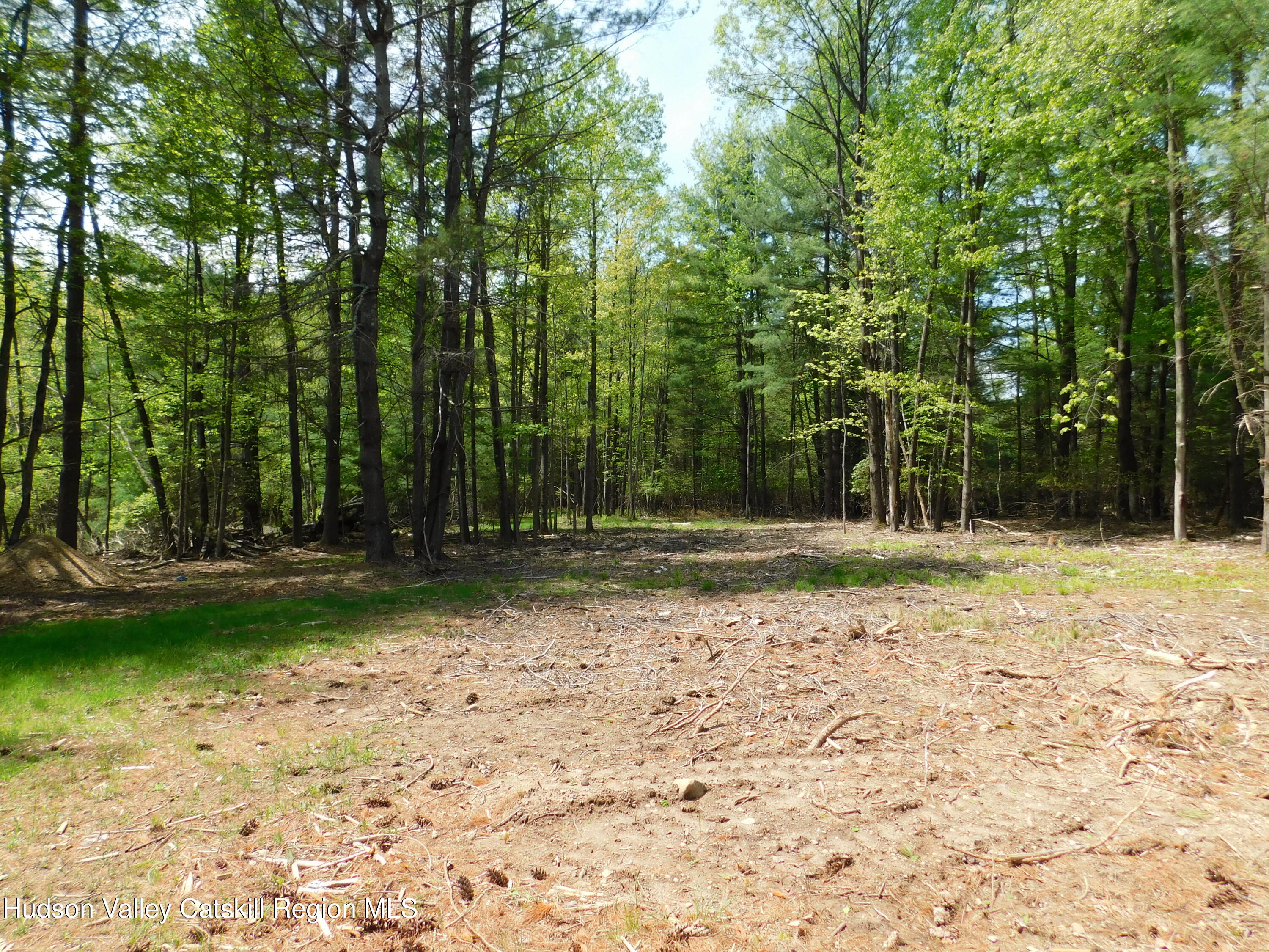 Tbd Lackawack Hill Rd