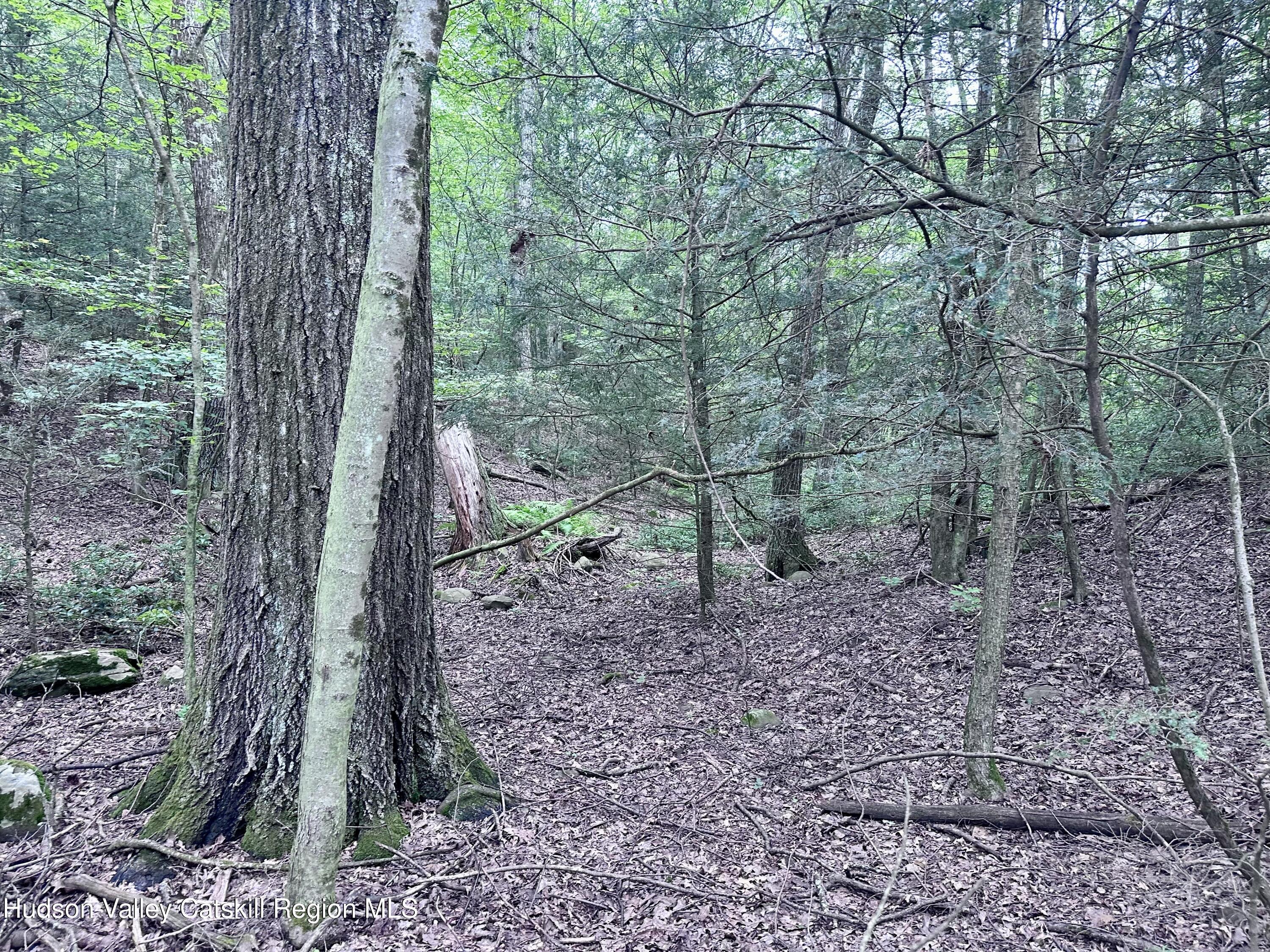 Lot 1 Upper Cherrytown Road