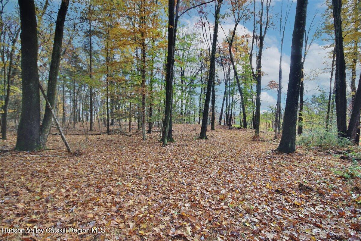 155 Mill Dam Road