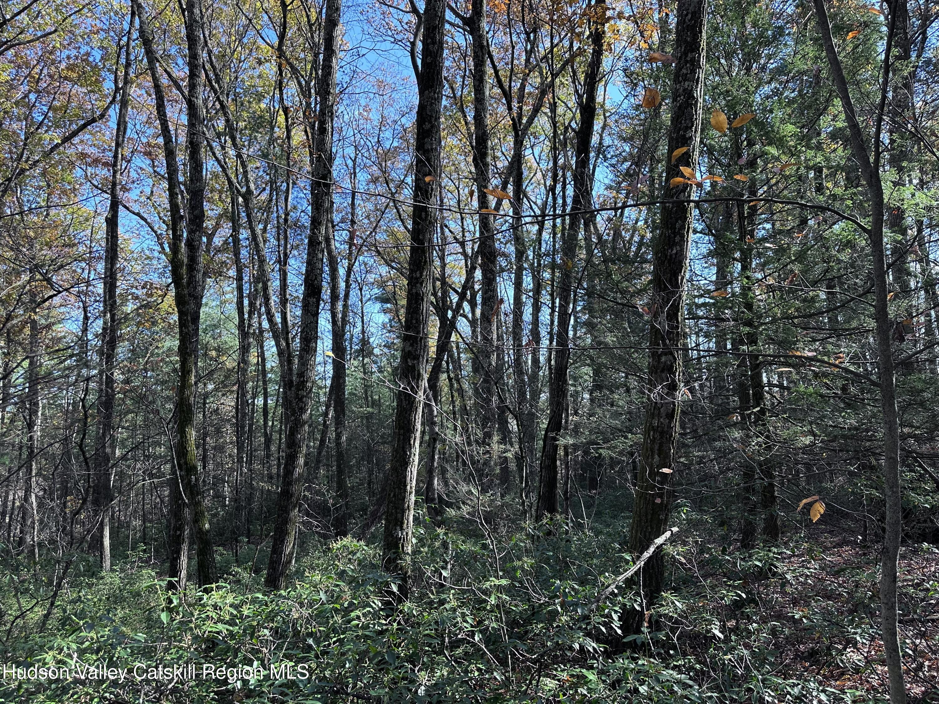 Lot 2 Upper Cherrytown Road