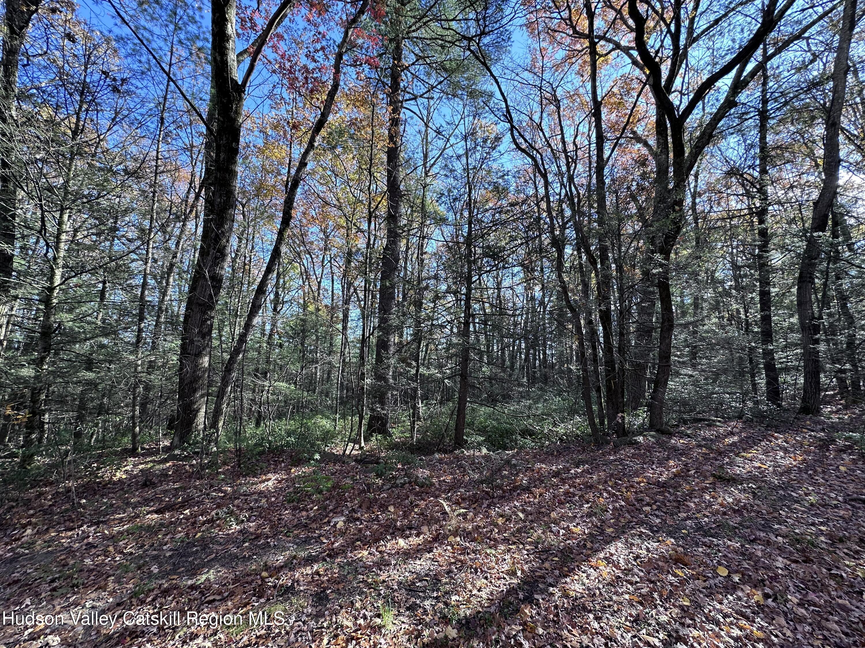 Lot 2 Upper Cherrytown Road