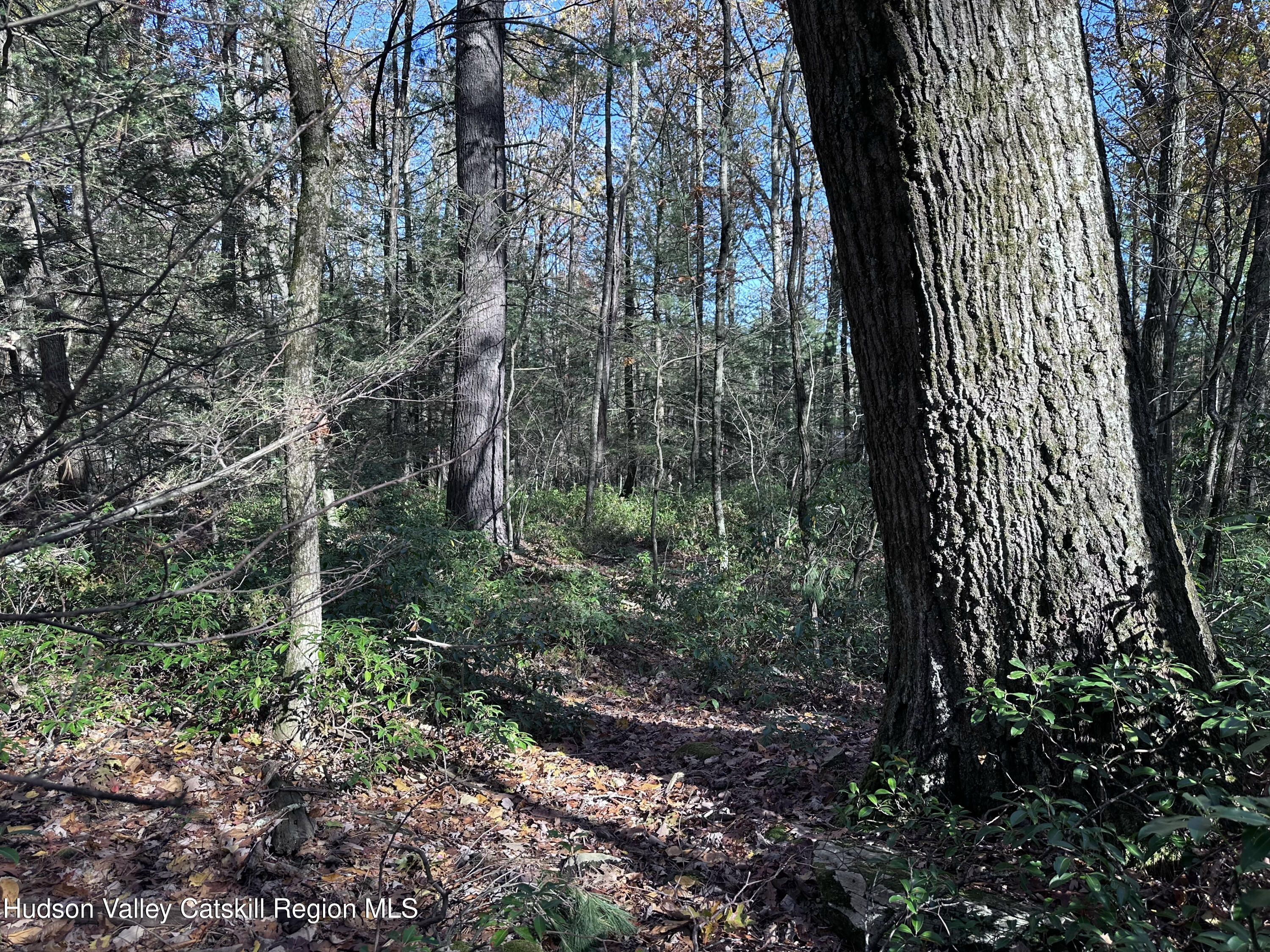Lot 2 Upper Cherrytown Road