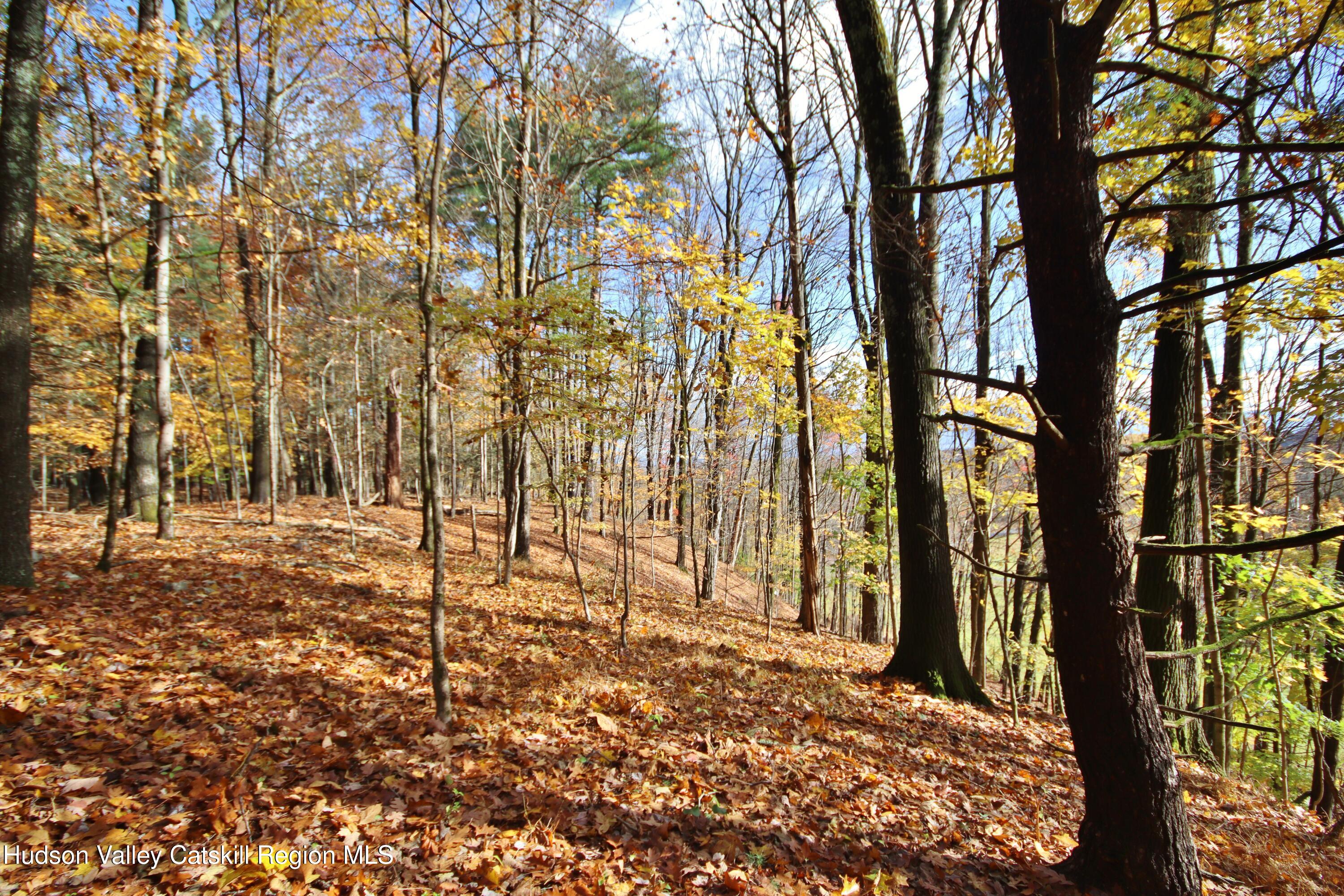 139 Mill Dam Road